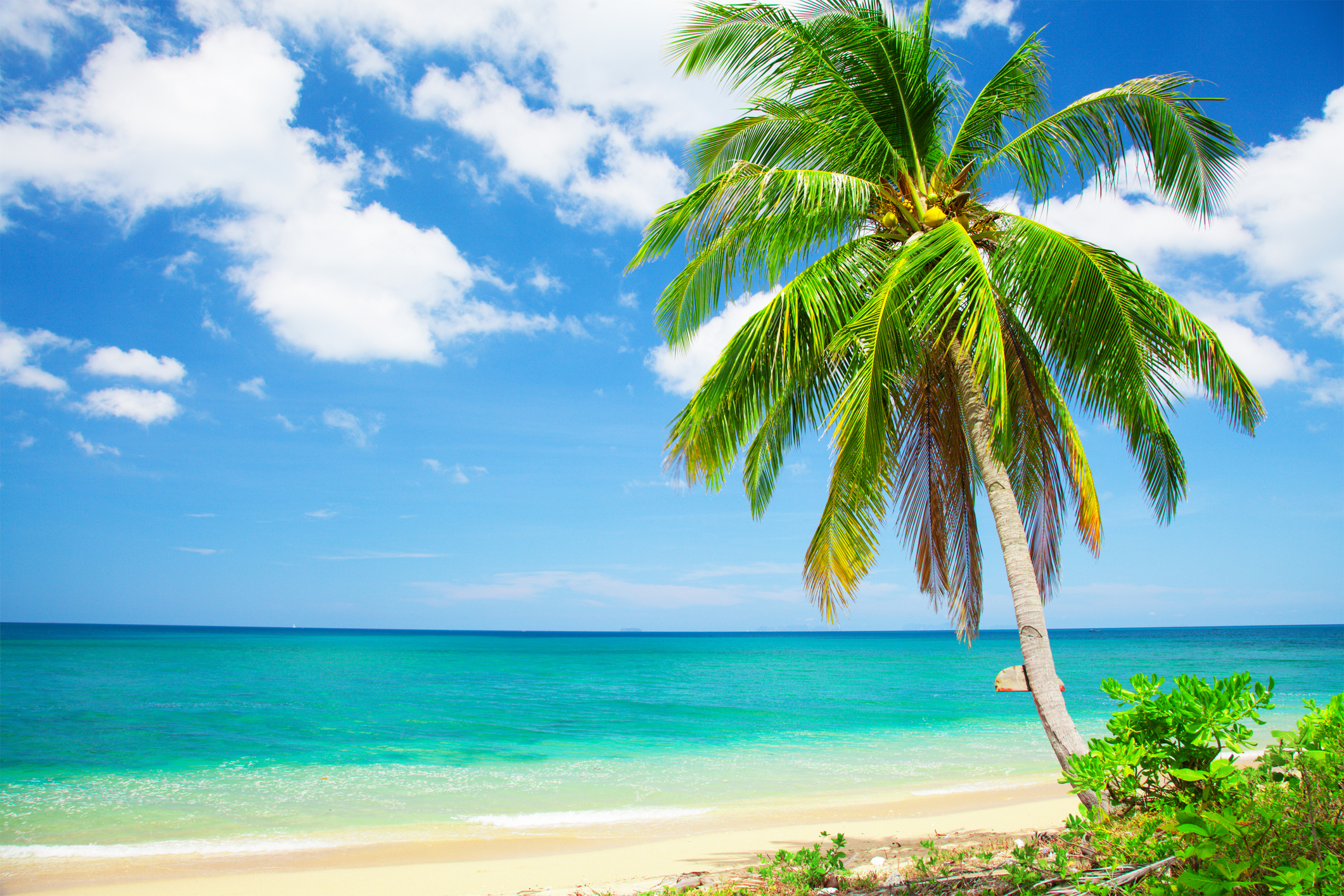 Capturing the Beauty: Picturesque Spots for Photography Enthusiasts in the Florida Keys